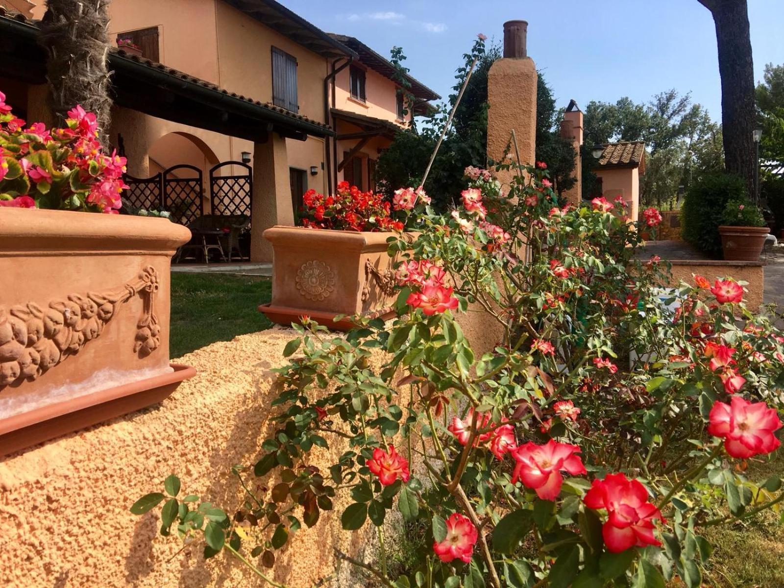 סקאנסאנו Agriturismo Terranera מראה חיצוני תמונה