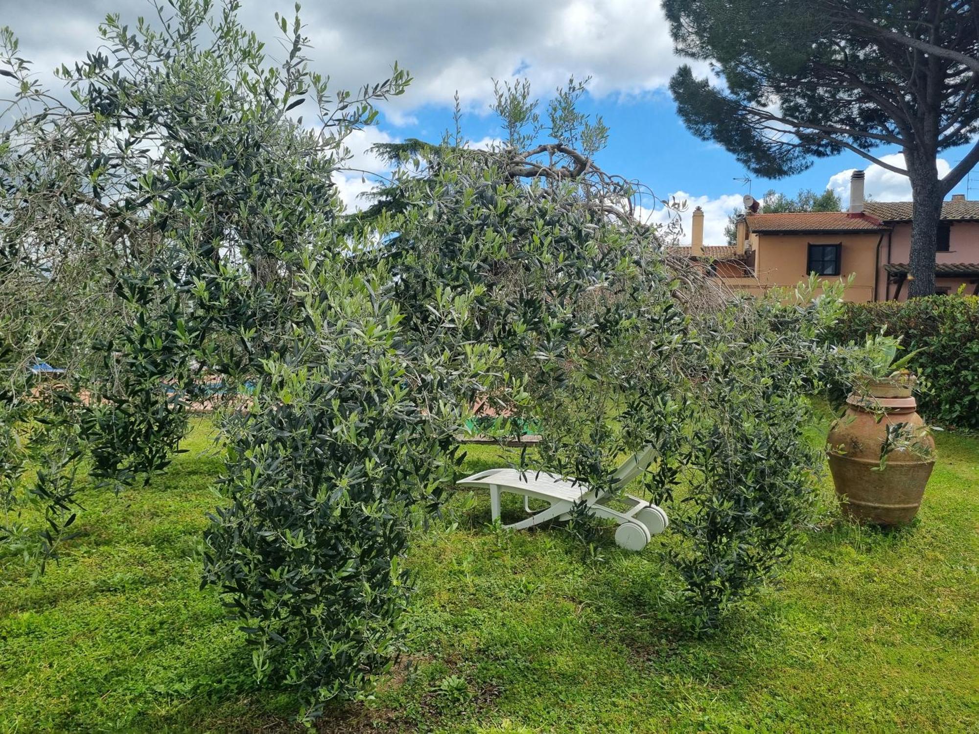 סקאנסאנו Agriturismo Terranera מראה חיצוני תמונה