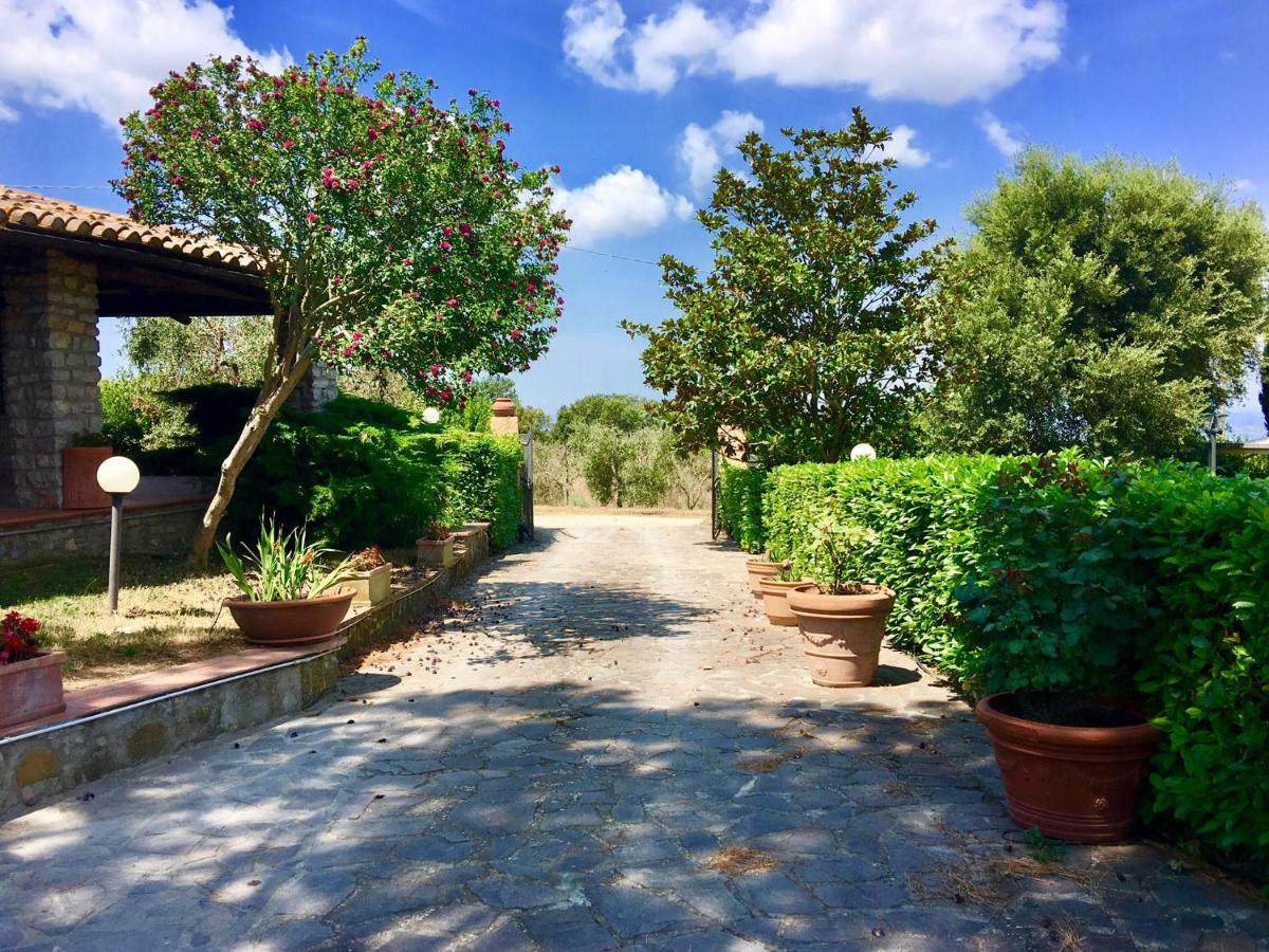 סקאנסאנו Agriturismo Terranera מראה חיצוני תמונה