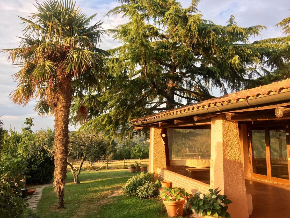 סקאנסאנו Agriturismo Terranera מראה חיצוני תמונה