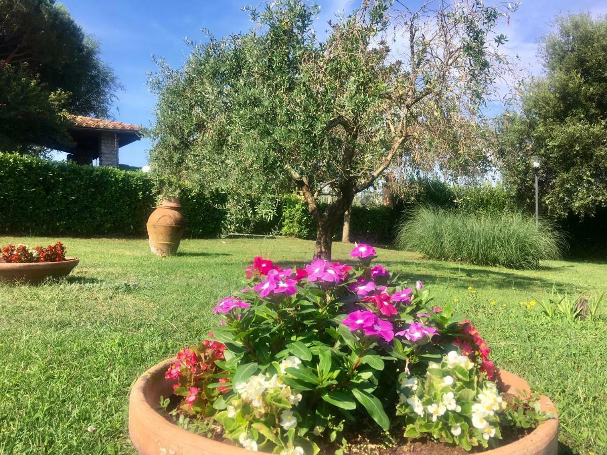 סקאנסאנו Agriturismo Terranera מראה חיצוני תמונה